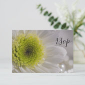 Carte de réponse RSVP de mariage White Daisy and P (Debout devant)