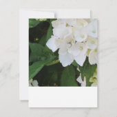 Carte de réponse RSVP Hydrangea blanche (Dos)