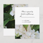 Carte de réponse RSVP Hydrangea blanche (Devant / Derrière)