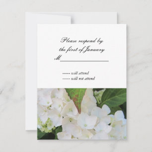 Carte de réponse RSVP Hydrangea blanche