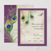 Carte de réponse RSVP Peacock Feathers (Devant / Derrière)