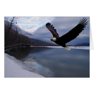 Carte de réserve de l'aigle Chilkat