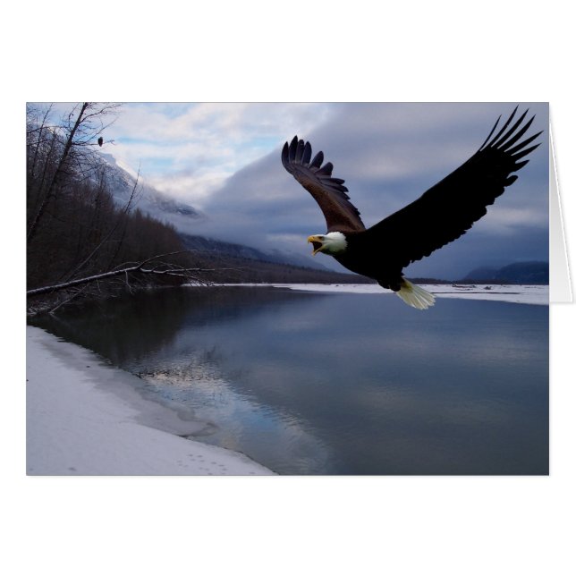 Carte de réserve de l'aigle Chilkat (Devant horizontal)