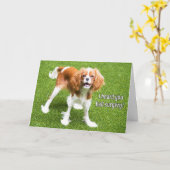 Carte de rétablissement Cavalier King Charles Span (Fleur jaune)