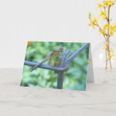 Carte de rétablissement "Jardin de libellule" #2 (Fleur jaune)