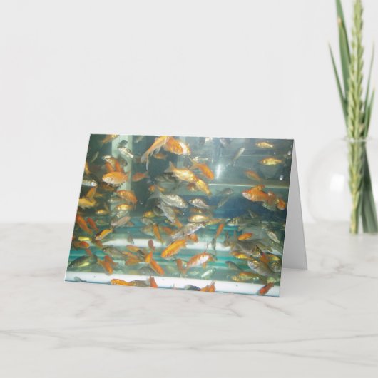 Carte de rétablissement "Poisson rouge" (Devant)