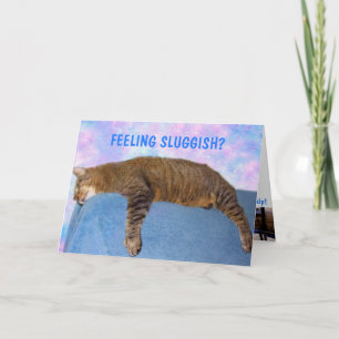 Carte de rétablissement pour chat paresseux sur ca