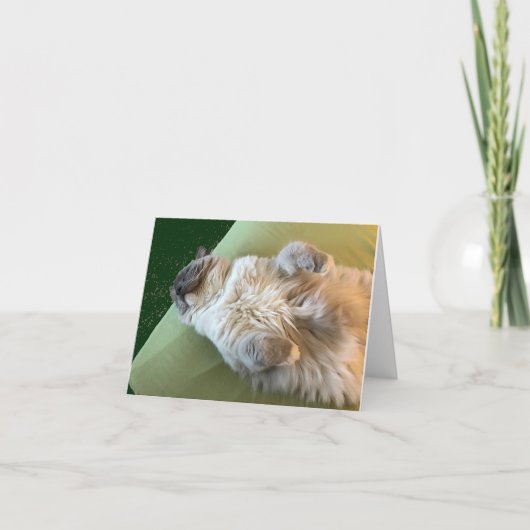 Carte de rétablissement pour chatte ragdoll endorm (Devant)