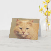 Carte de rétablissement pour Maine Coon (Fleur jaune)