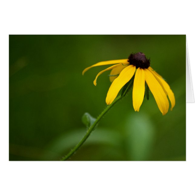 Carte de retrait (Devant Horizontal)