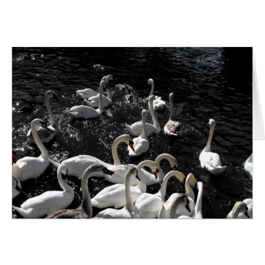 Carte de retrait des cygnes (Devant horizontal)