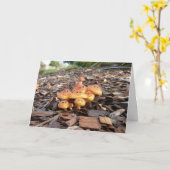 CARTE DE RETRAITE AMUSANTE (Fleur jaune)