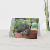 Carte de retraite amusante, Écureuil dans Planter