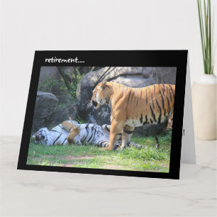 Carte de retraite amusante, tigre endormi