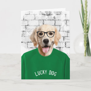 carte de retraite avec golden retriever en t-shirt