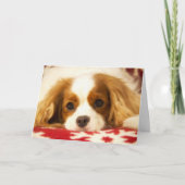 Carte de roi Charles Spaniel flocon de neige peint (Devant)