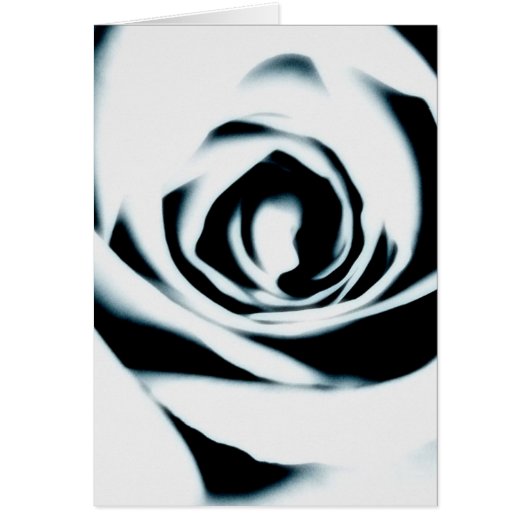 Carte de rose blanc (Devant)