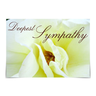 Carte de Rose "Deepest Sympathy" blanche Rugosa