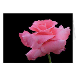Carte de roses et de chocolats