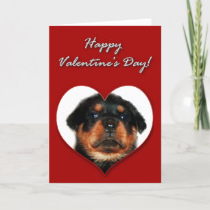 Carte de Rottweiler Valentines