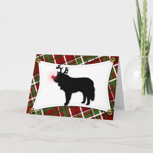 Carte de Saint-Bernard-Reindeer (Devant)