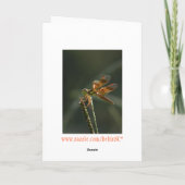 Carte de Saint-Valentin à la libellule mignonne. (Dos)