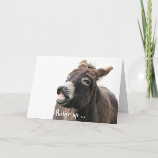 Carte de Saint Valentin avec âne caillouteux (Devant)