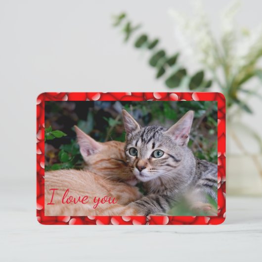Carte de Saint-Valentin chat (Debout devant)
