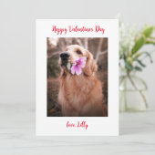 Carte de Saint-Valentin Chien (Debout devant)