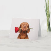 Carte de Saint Valentin Chien mignon (Devant)