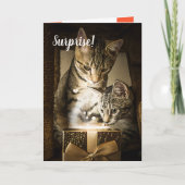 Carte de Saint-Valentin Coeur de Chat (Devant)