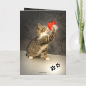 Carte de Saint-Valentin Coeur de Chat (Dos)