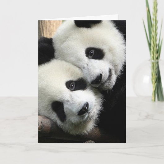 Carte de Saint-Valentin d'amour de panda (Devant)