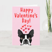 Carte de Saint-Valentin de Boston Terrier (Devant)