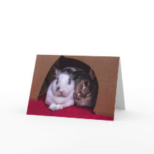 Carte de Saint-Valentin de BunnyLuv (de lui)