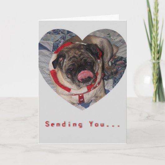 Carte de Saint-Valentin de carlins et de baisers (Devant)