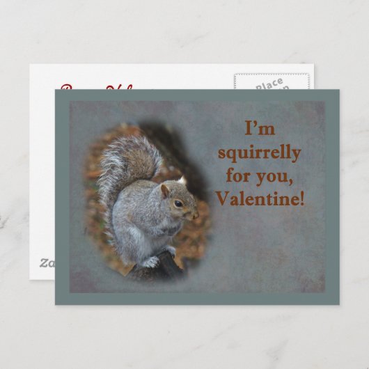 Carte de Saint-Valentin d'écureuil (Devant / Derrière)