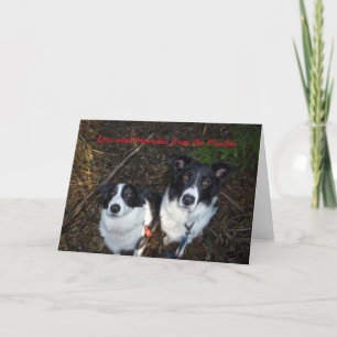 Carte de Saint-Valentin des chiens
