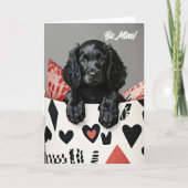 Carte de Saint-Valentin espagnole espagnole d'eau (Devant)