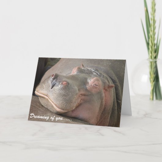 Carte de Saint-Valentin - hippopotame de sourire (Devant)