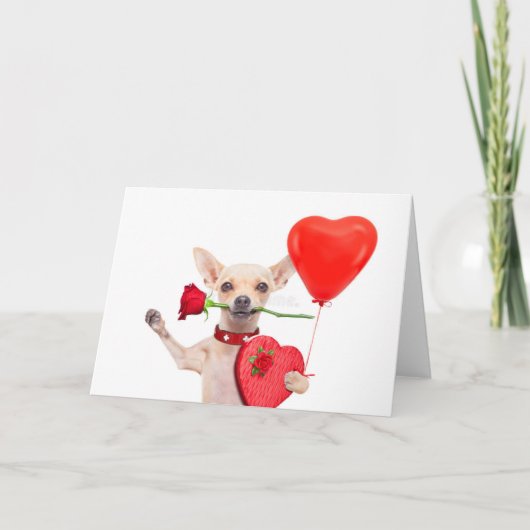 Carte de Saint-Valentin Joyeuse Chien Chihuahua Av (Devant)