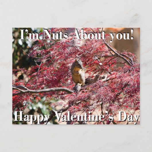 Carte de Saint-Valentin pour l'école (Devant)