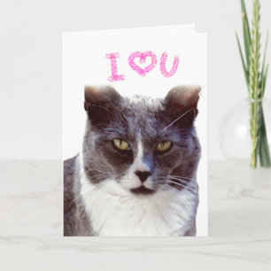 Carte de Saint-Valentin pour votre chat Je t'aime