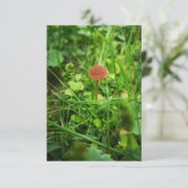 carte de salutation de champignons (Debout devant)