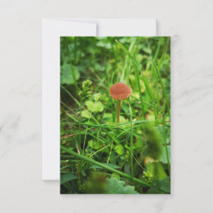carte de salutation de champignons
