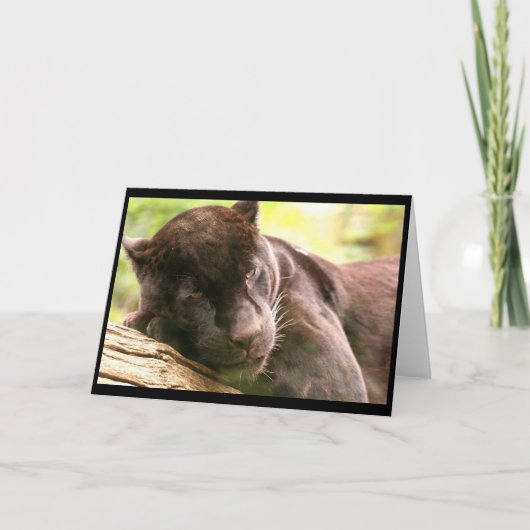 Carte de salutation de la panthère noire (Devant)