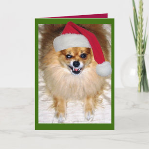 Carte de Santa Christmas