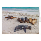 Carte de scellement (Devant horizontal)