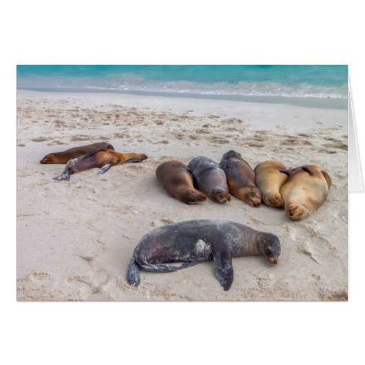 Carte de scellement (Devant horizontal)