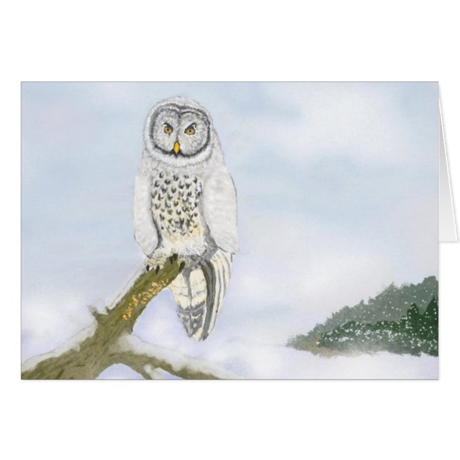 Carte de scène de hibou d'hiver (Devant Horizontal)